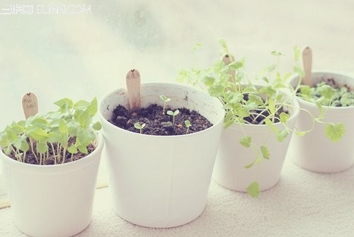 不是故意,不是秘密的秘密,不是书店,不是蚊子,不是正版,不是浮云,不是而是,不是处女,不是人,不是兄弟,不是所有,不是英雄,不是开玩笑,不是再见,我不是