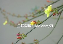 新人举办全素婚宴,39对新人婚礼,律政新人王,新人皮灯笼,高校新人,炉石传说新人卡组推荐,av狼 新人论坛888,av狼888社新人注册,av狼新人地