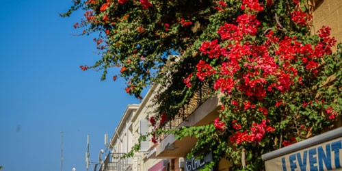 塞浦路斯移民新政策的最新介绍