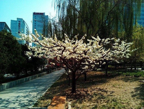 红辣椒note3,红辣椒note刷机,红辣椒note论坛,红辣椒note官网,红辣椒note驱动,红辣椒note怎么样,红辣椒note咋样,红辣椒note电池,红辣椒notevivo,红辣椒note3评测,红辣椒note rom,红辣椒note好用吗,红辣椒note3root,红辣椒note3视频,红辣椒note miui