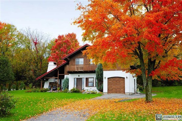 技术移民,加拿大技术移民,澳大利亚技术移民,澳洲技术移民,新西兰技术移民,加拿大技术移民条件,美国技术移民,澳洲技术移民条件,新西兰技术移民条件,技术移民美国的条件,加拿大技术移民打分,澳洲技术移民打分表,技术移民条件,加拿大技术移民2015,魁北克技术移民论