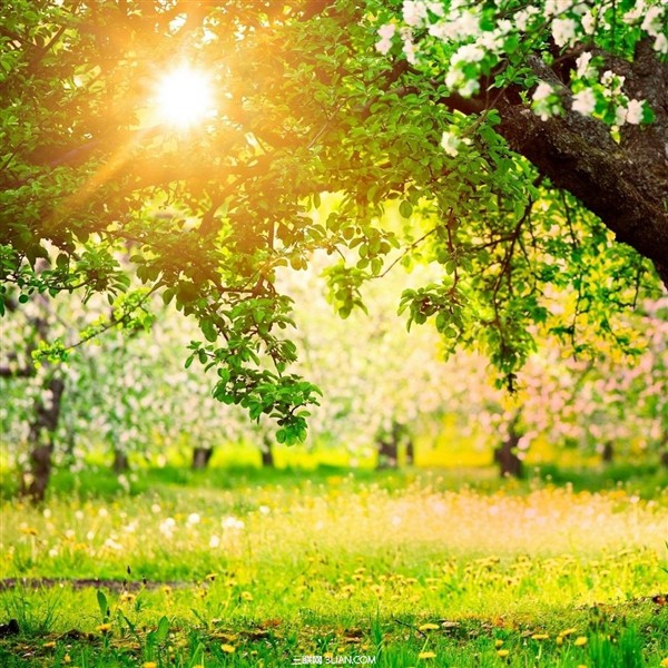 网王淡淡的味道,淡淡的味道美文,淡淡烟草味道,淡淡的味道微博,淡淡袜子的味道,香水淡淡的味道,手指淡淡烟草味道,淡淡烟草味道歌词,味道淡淡的男士香水,很有味道广场舞,有味道的少女,很有味道广场舞茉莉,很有味道广场舞mp3,周思萍广场舞很有味道,有味道的歌