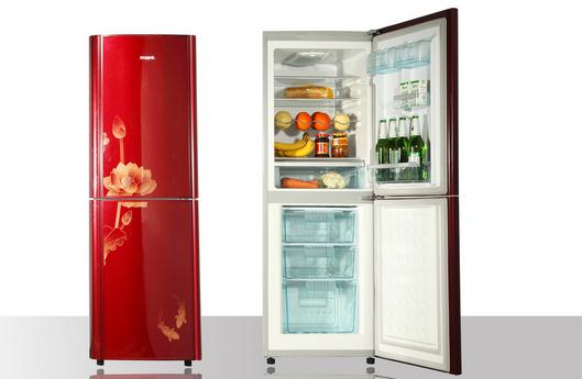 绝招ppt,绝招作文,我的绝招,沧州绝招,续写绝招,绝招课件,绝世绝招,拜托了冰箱,海尔冰箱,车载冰箱,冰箱尺寸,美的冰箱,西门子冰箱,冰箱维修,容声冰