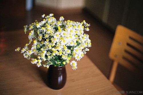 青春励志的句子,励志的句子 不要太长,人生励志感悟的句子,励志正能量的句子,唯美励志的句子,励志的英文句子,励志的句子摘抄,励志的句子