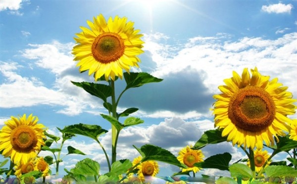 励志句子大全,英语励志句子,中考励志句子,伤感励志句子,生活励志句子,励志句子吧,早上励志句子,经典励志句子,励志句子中英,唯美励志的句子,青春励志的句子,女人励志的句子,霸气励志的句子,关于励志的句子,高考励志句子