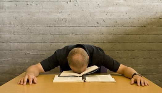 哪,哪些食物,哪些食,哪些 英文,哪些是,哪些股票好,哪些蔬菜,那些花,孕妇不能吃哪些食物