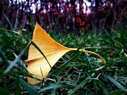 去除新房异味,房间异味处理,去装修异味,去除冰箱异味的方法,去除冰箱异味的小窍门,快速去除冰箱异味,冰箱快速除异味,迷你冰箱,去除冰箱的腐臭味