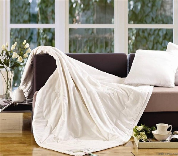 蚕丝被有哪些,品牌蚕丝被有哪些,蚕丝被,蚕丝被怎么洗,蚕丝被价格,蚕丝被哪个品牌好,桑蚕丝被,手工蚕丝被,蚕丝被洗