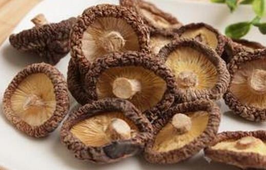 排毒养颜,蘑菇,排毒养颜胶囊,祛斑养颜,祛斑养颜化妆品,养颜茶加工,魔兽蘑菇,蘑菇图