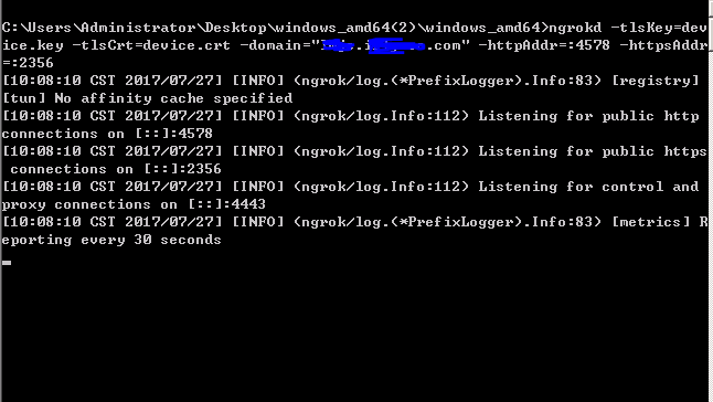  使用ngrok进行内网穿透,client端能够成功连接server端,请问输入网址后为什么不能运行?